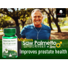 MODERN SAW PALMETTO DIETARY SUPPLEMENT FOR MEN HEALTH ( SAW PALMETTO 450 MG + ZINC 6 MG ) 30 HARD GELATIN CAPSULES